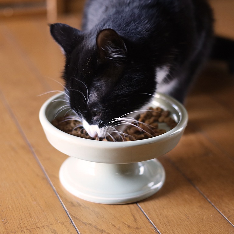 HASAMI ハサミ｜フードボウル 16cm