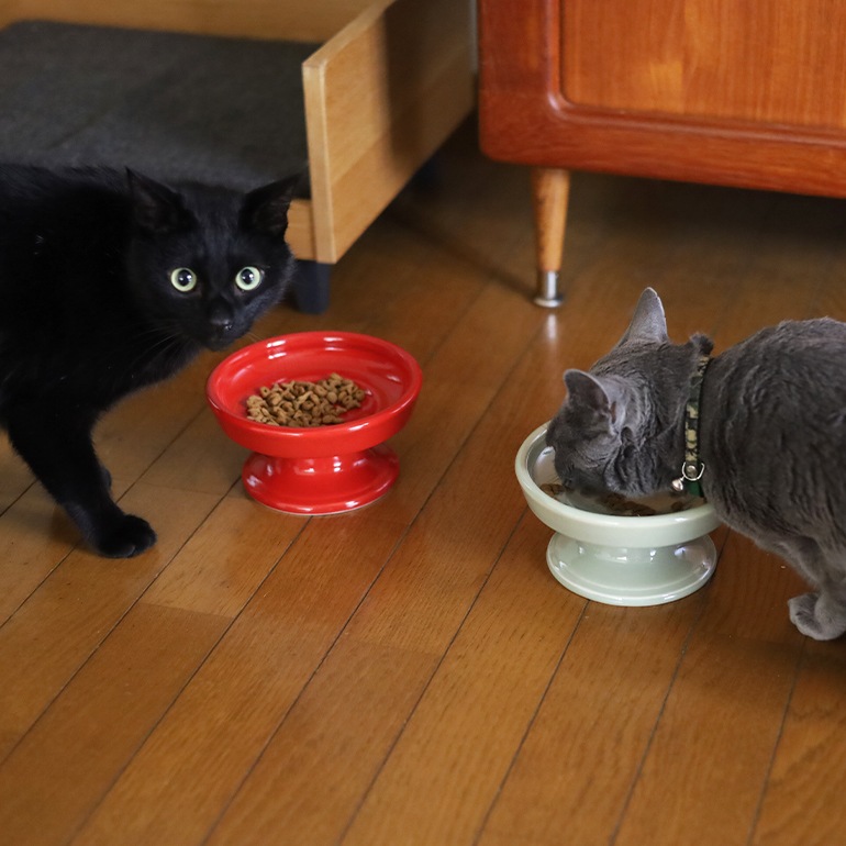 HASAMI ハサミ｜フードボウル 16cm