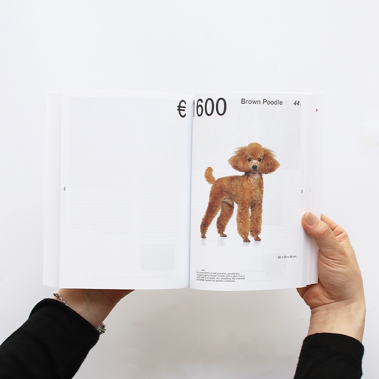 OBJECT-ORIENTED IDENTITY: CULTURAL BELONGINGS FROM OUR RECENT PAST by Zsofia Kollar