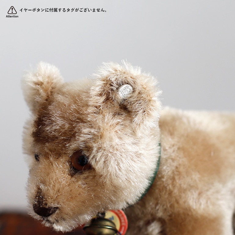 VINTAGE｜Steiff Bear Cub