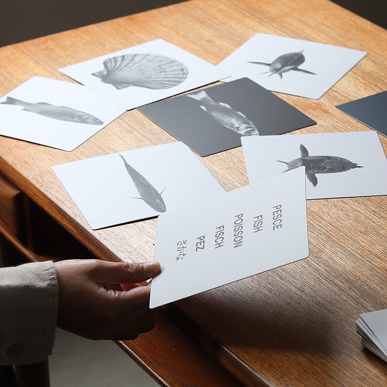 【B品/開封済み】corraini Bruno Munari コッライーニ ブルーノ・ムナーリ｜Images of Reality 現実世界のイメージ