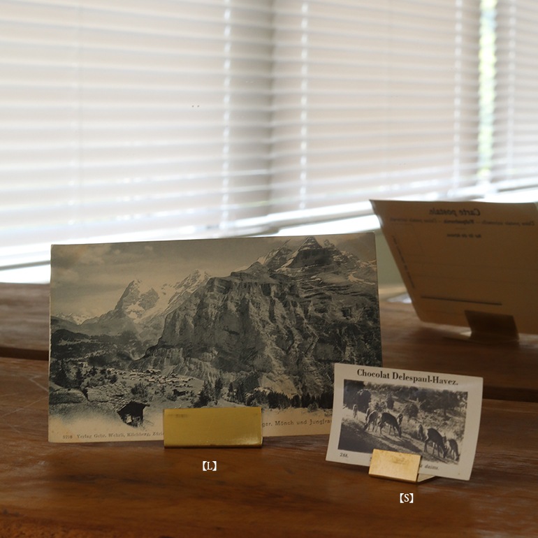 CARD HOLDER(S) 5個入り