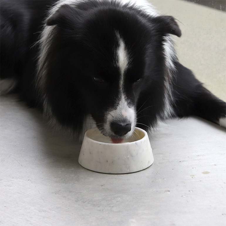 PUEBCO プエブコ｜MARBLE PET BOWL White (Deep)