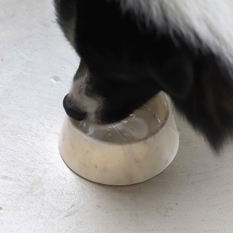 PUEBCO プエブコ｜MARBLE PET BOWL White (Deep)