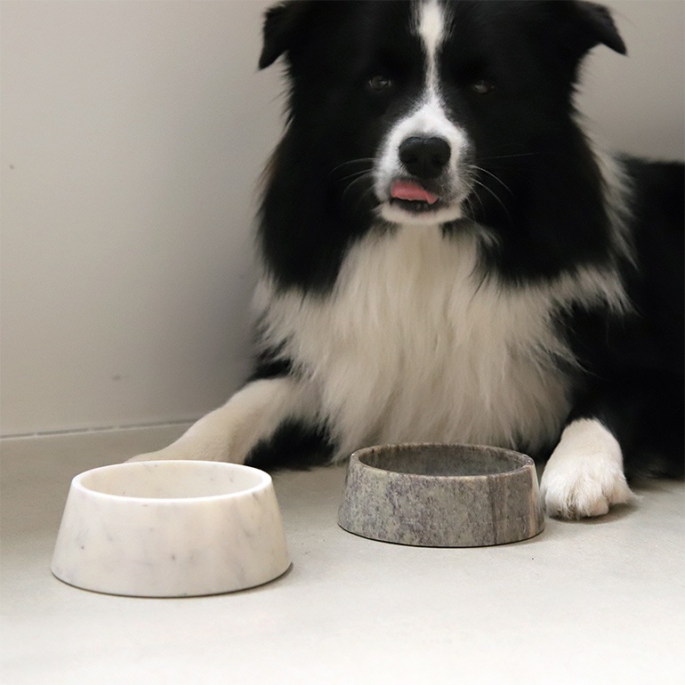 PUEBCO プエブコ｜MARBLE PET BOWL White (Deep)
