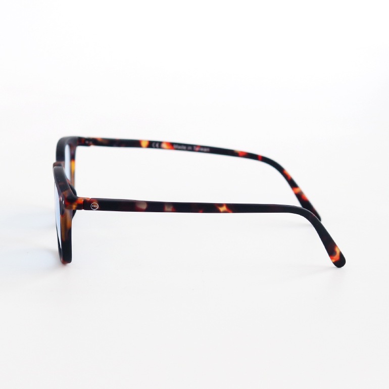 IZIPIZI イジピジ｜SUN LIGHTCOLOR #E　Tortoise(Light blue lenses)