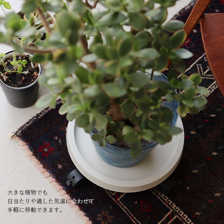 amabro アマブロ｜PLANTS TRAY