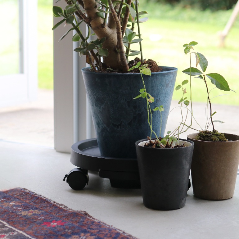 amabro アマブロ｜PLANTS TRAY
