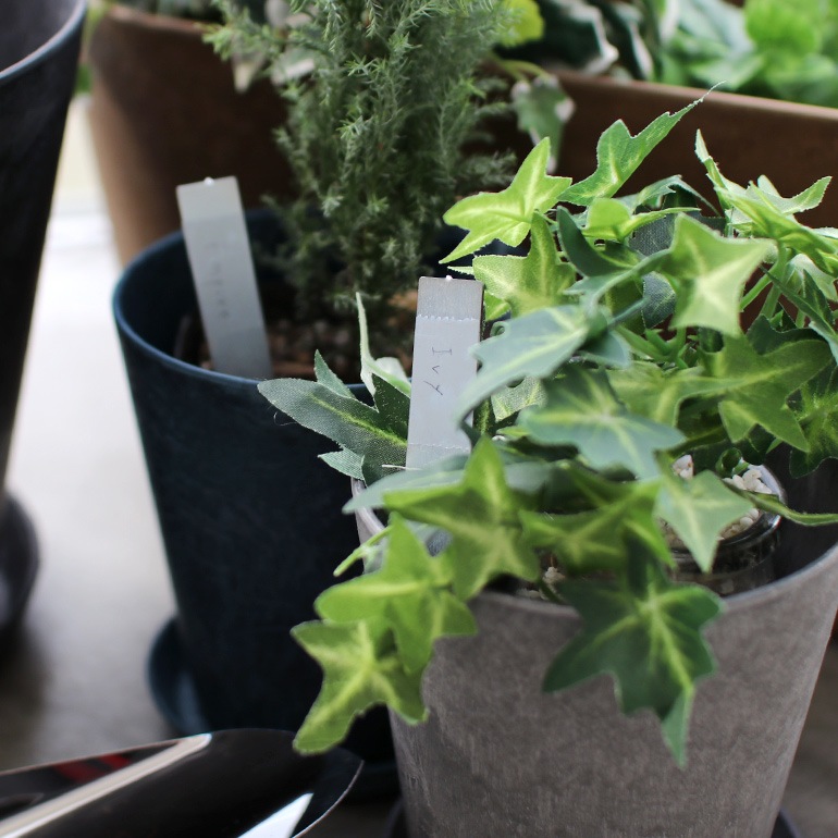 SIKAKU シカク｜PLANTS MARKER【S】6pcs