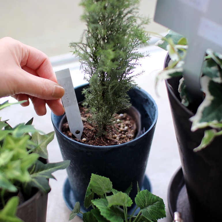 SIKAKU シカク｜PLANTS MARKER【S】6pcs