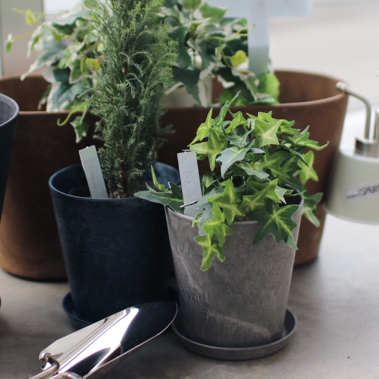 SIKAKU シカク｜PLANTS MARKER【S】6pcs