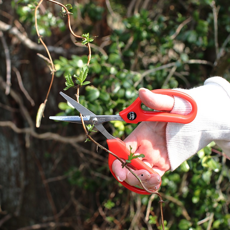 Barnel バーネル｜スタンダード マルチシザー