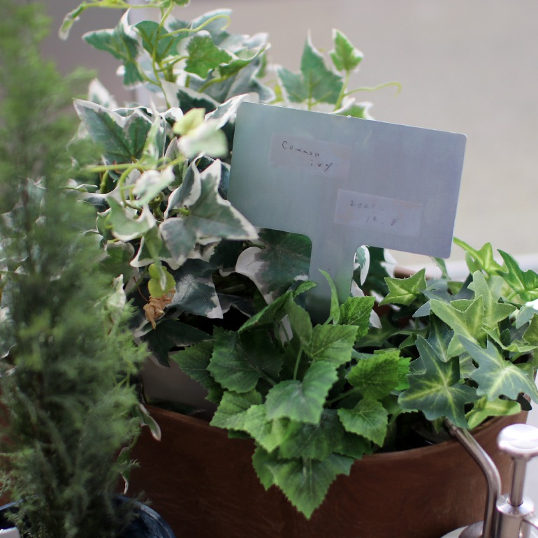 SIKAKU シカク｜PLANTS MARKER【L】3pcs