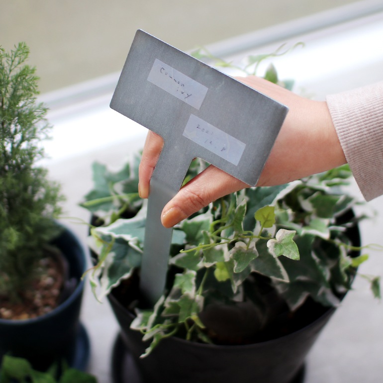 SIKAKU シカク｜PLANTS MARKER【L】3pcs