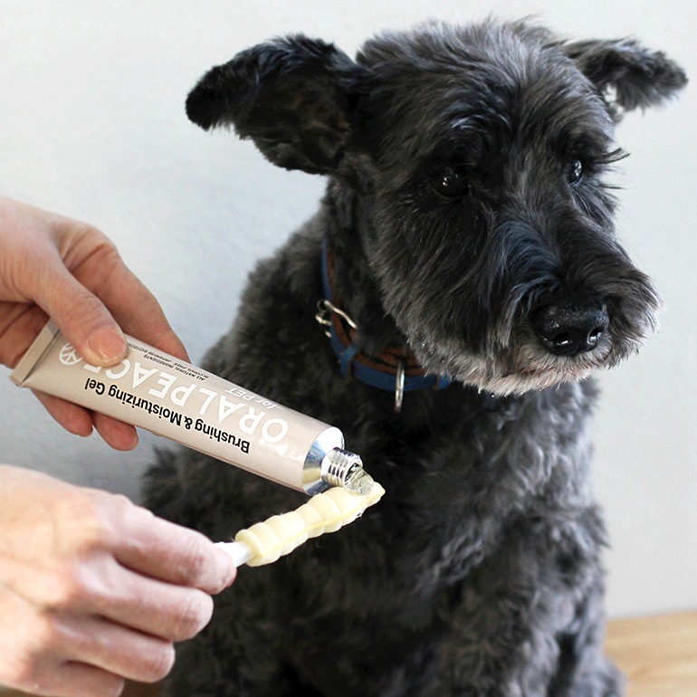 ORALPEACE オーラルピース｜ for PET Oralcare Gel