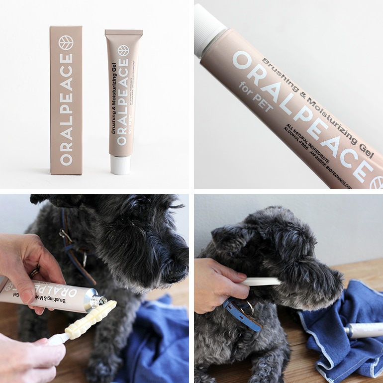 ORALPEACE オーラルピース｜ for PET Oralcare Gel