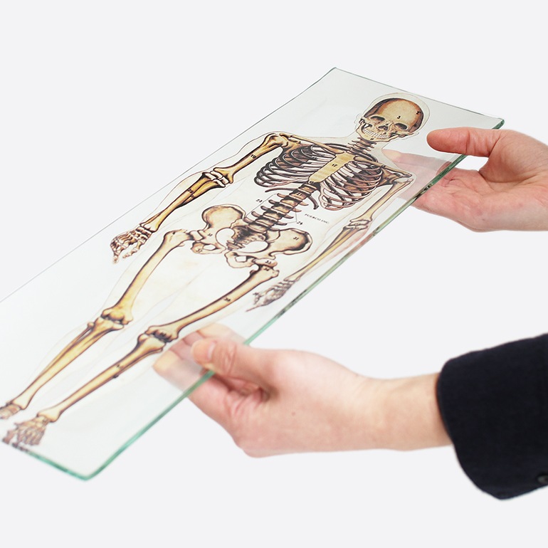 PUEBCO プエブコ｜PRINTED GLASS TRAY Skeleton