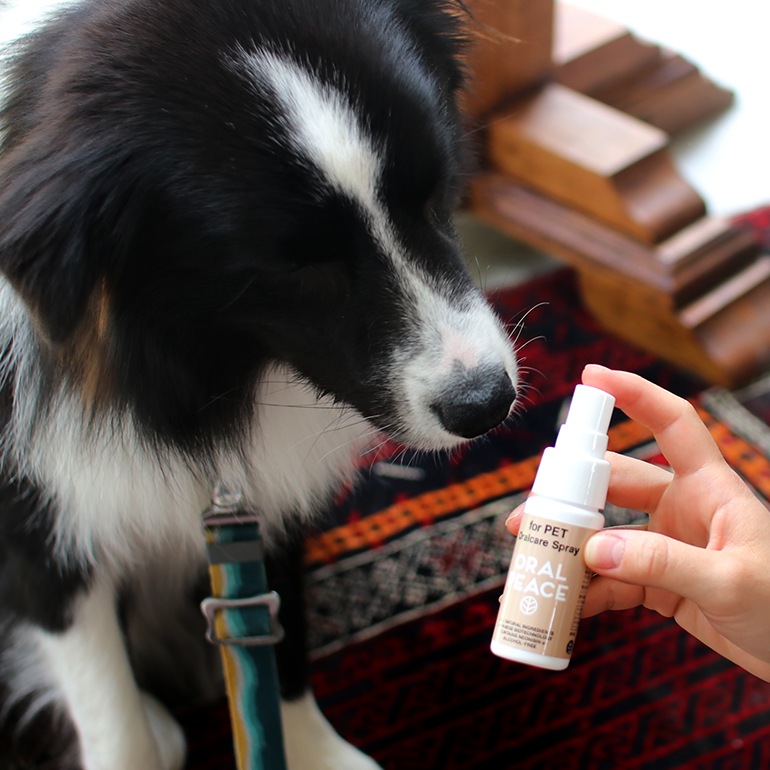 ORALPEACE オーラルピース｜Oralcare Spray for PET