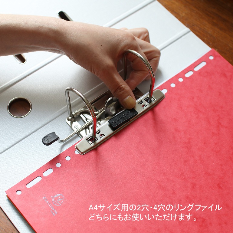 EXACOMPTA エグザコンタ｜カラーインデックス リングファイル用【12分割】