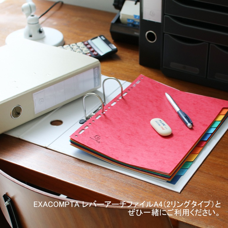 EXACOMPTA エグザコンタ｜カラーインデックス リングファイル用【12分割】