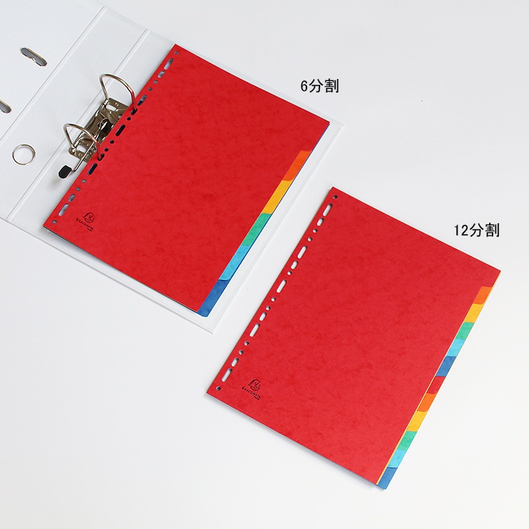 EXACOMPTA エグザコンタ｜カラーインデックス リングファイル用【12分割】