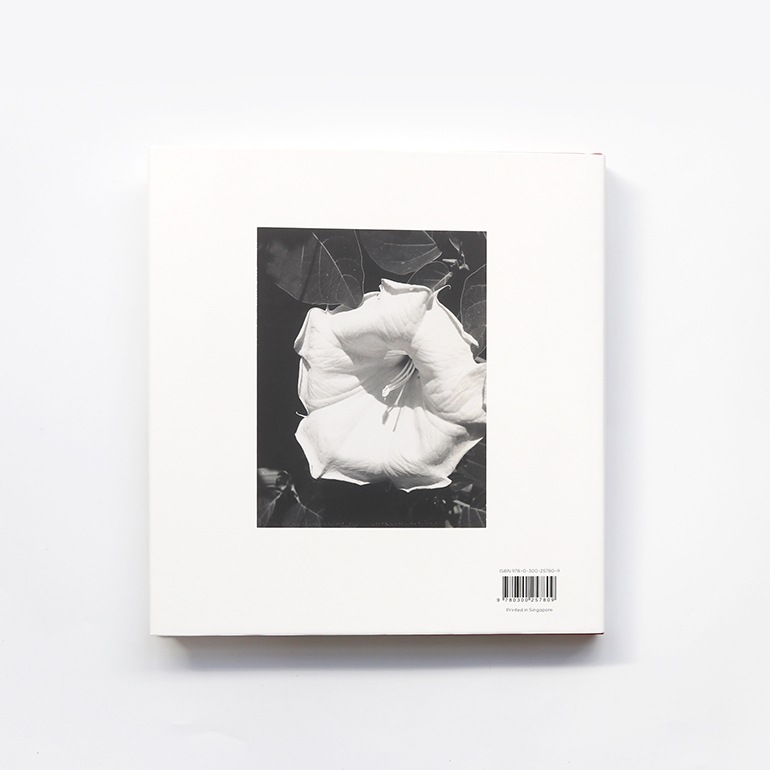 GEORGIA O'KEEFFE, PHOTOGRAPHER by Georgia O'Keeffe