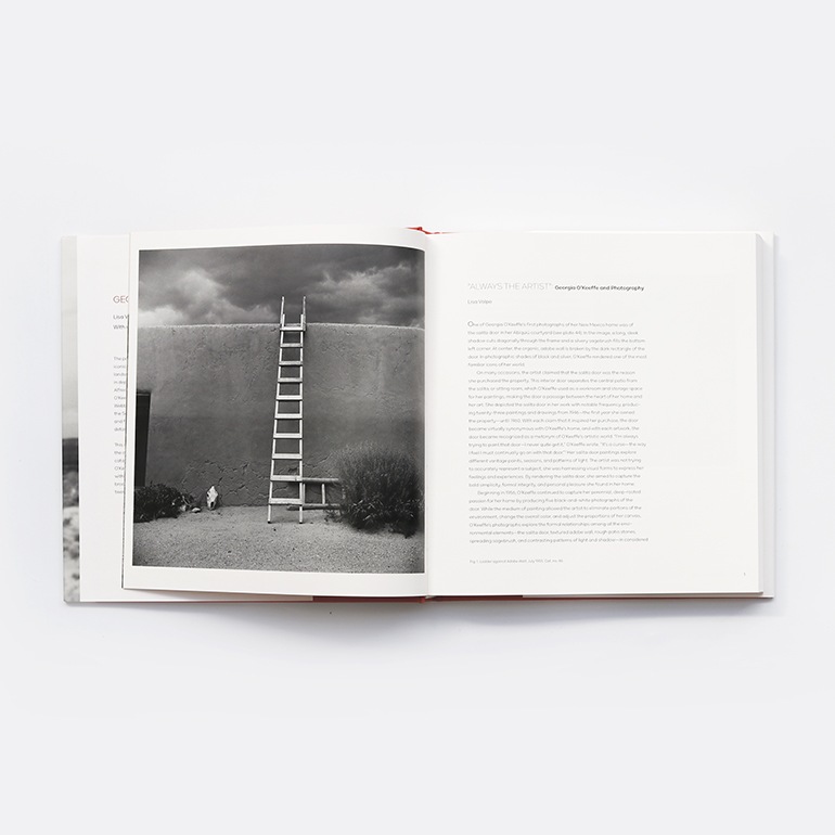 GEORGIA O'KEEFFE, PHOTOGRAPHER by Georgia O'Keeffe
