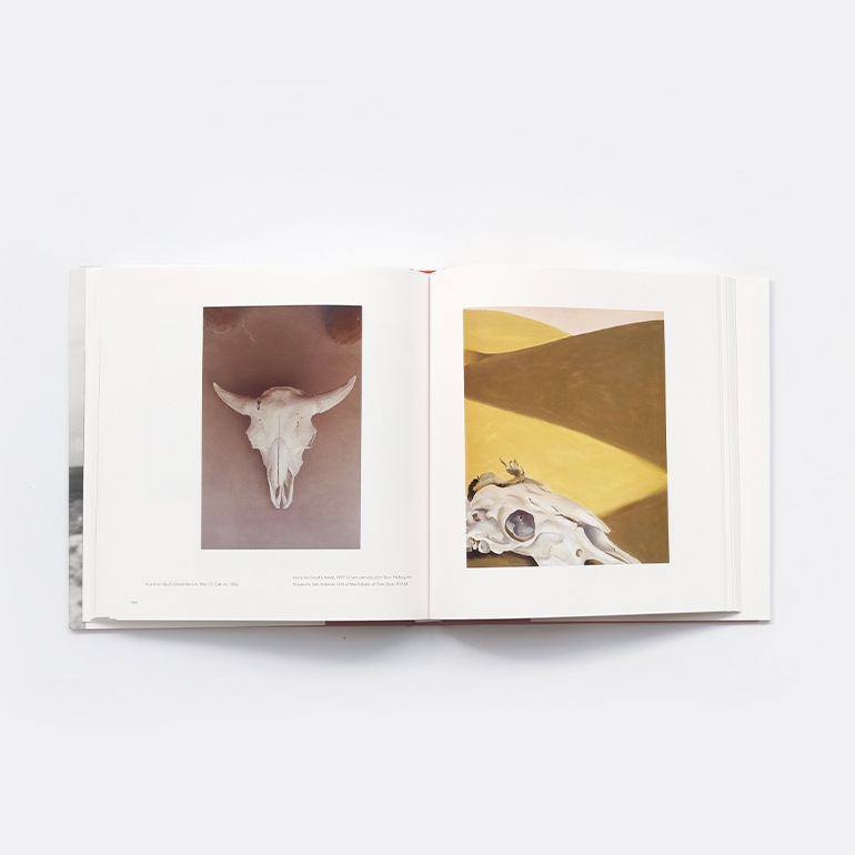 GEORGIA O'KEEFFE, PHOTOGRAPHER by Georgia O'Keeffe