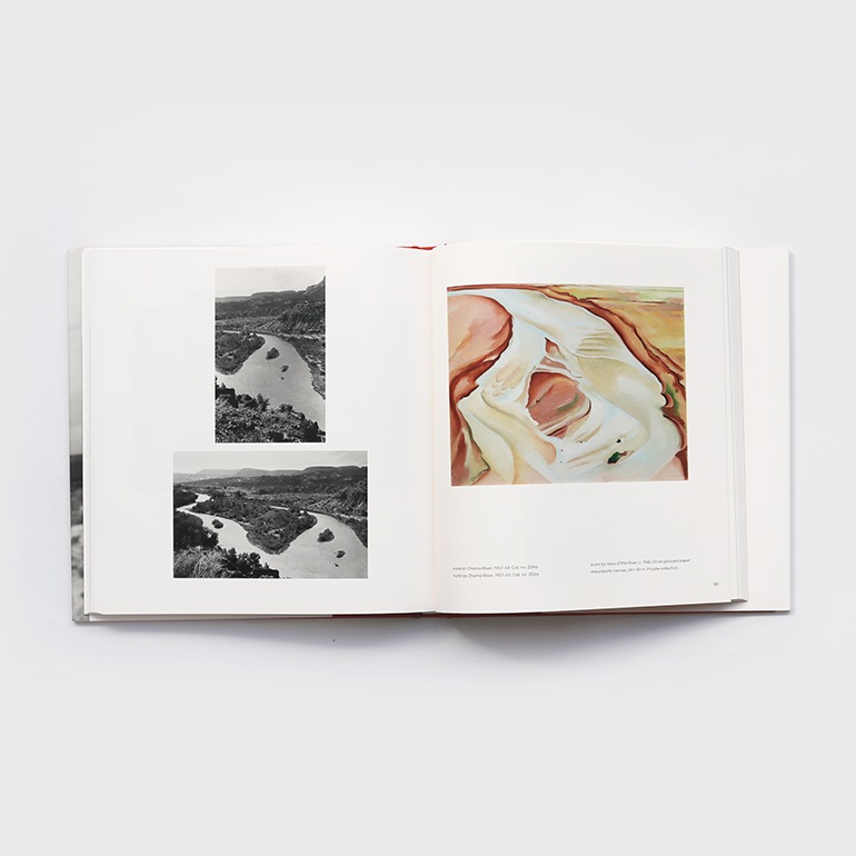 GEORGIA O'KEEFFE, PHOTOGRAPHER by Georgia O'Keeffe