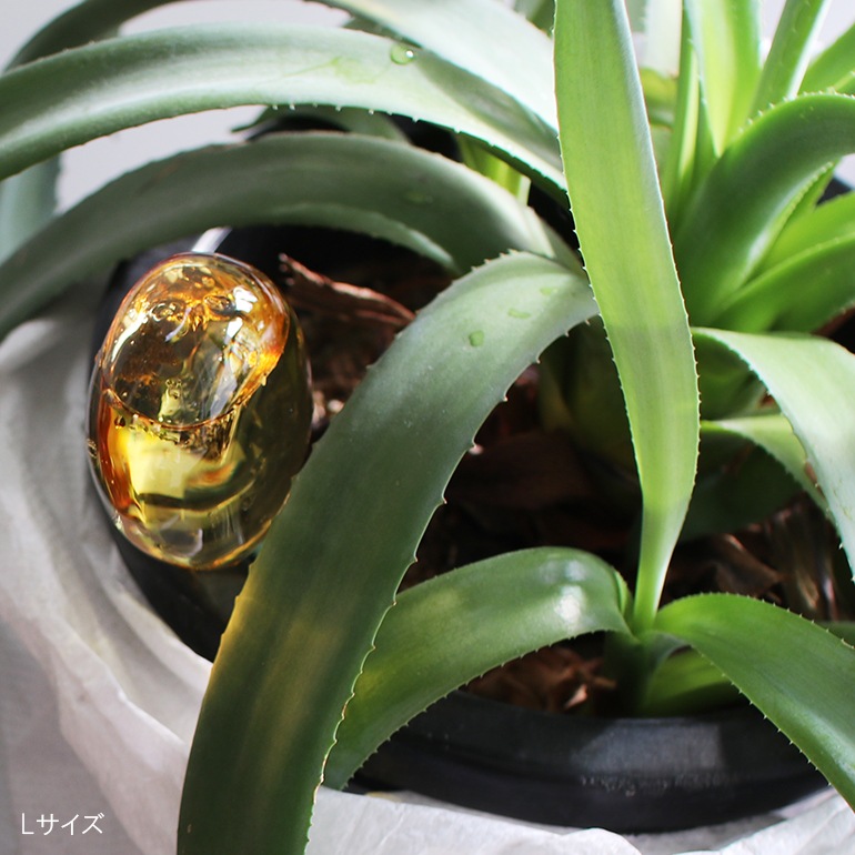 amabro アマブロ｜TWO TONE WATER DISPENSER【L】ツートーン ウォーターディスペンサー