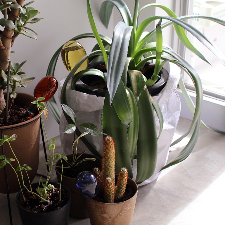 amabro アマブロ｜TWO TONE WATER DISPENSER【L】ツートーン ウォーターディスペンサー