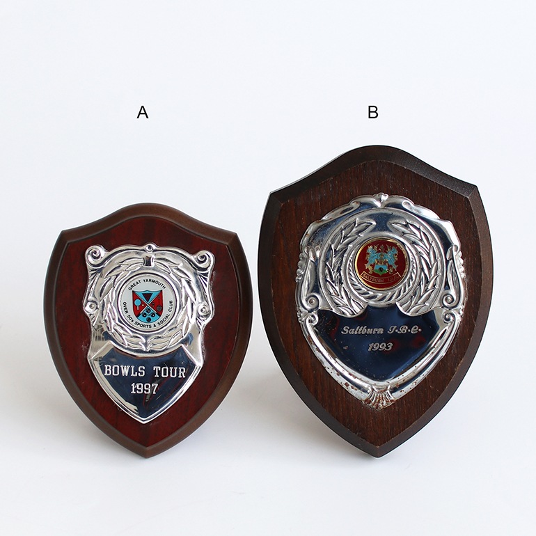 VINTAGE｜Lawn Bowls Memorabilia Plaques #5