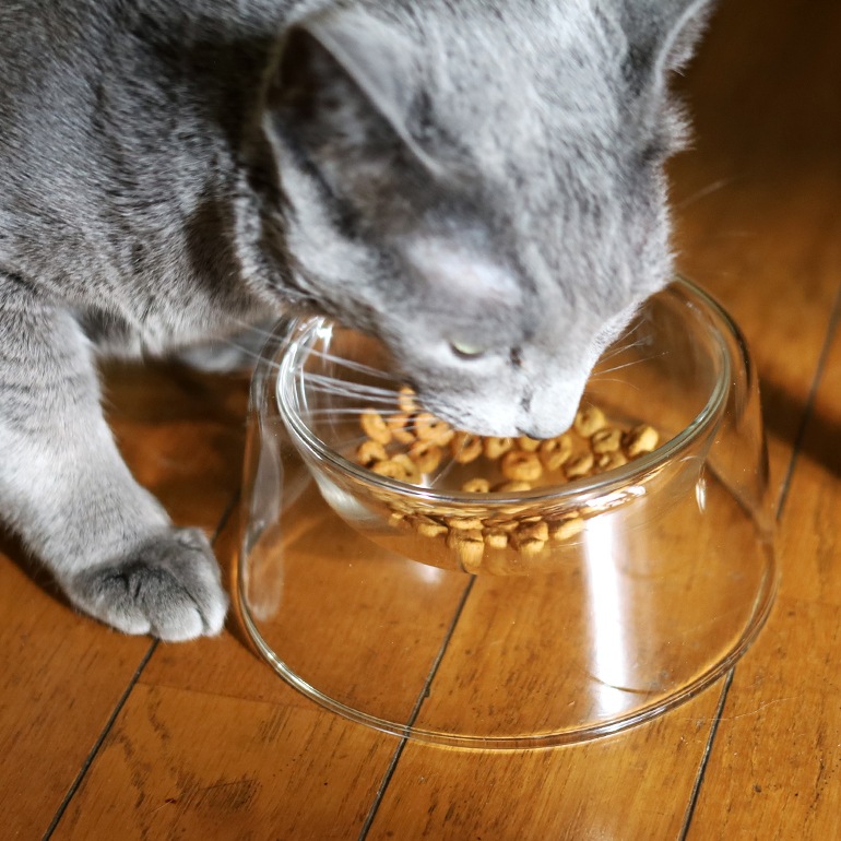 PUEBCO プエブコ｜BOROSILICATE GLASS PET BOWL