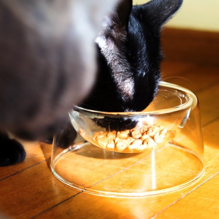 PUEBCO プエブコ｜BOROSILICATE GLASS PET BOWL