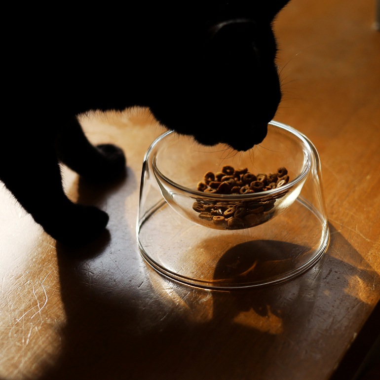 PUEBCO プエブコ｜BOROSILICATE GLASS PET BOWL