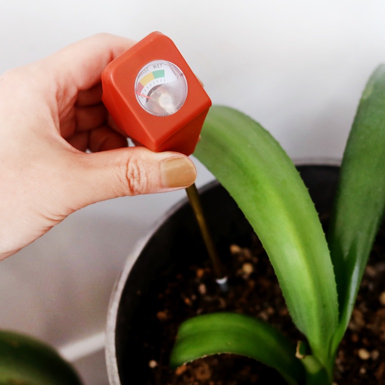 KIKKERLAND キッカーランド｜Garden Hydrometer (ガーデン用湿度計)