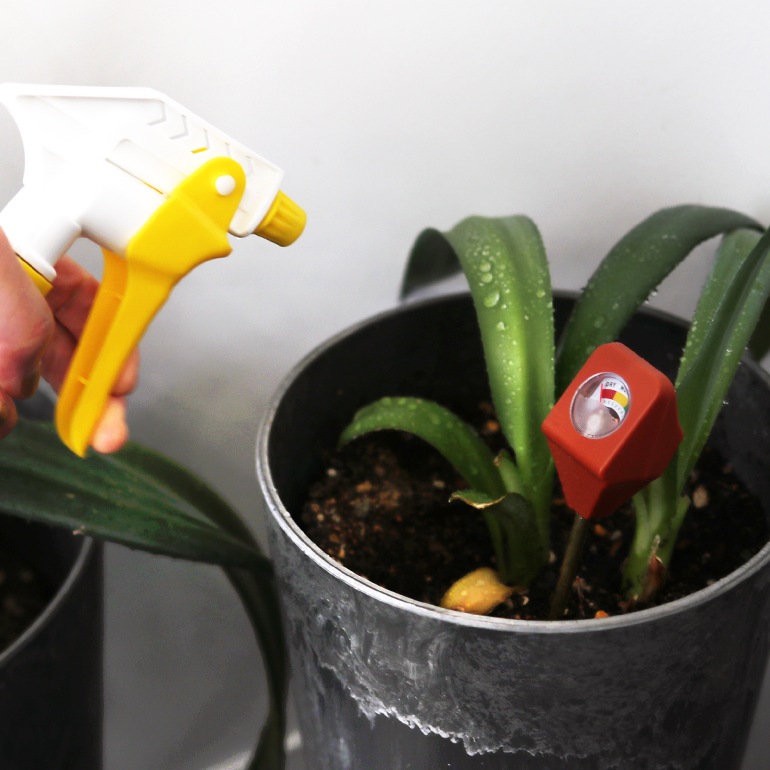KIKKERLAND キッカーランド｜Garden Hydrometer (ガーデン用湿度計)