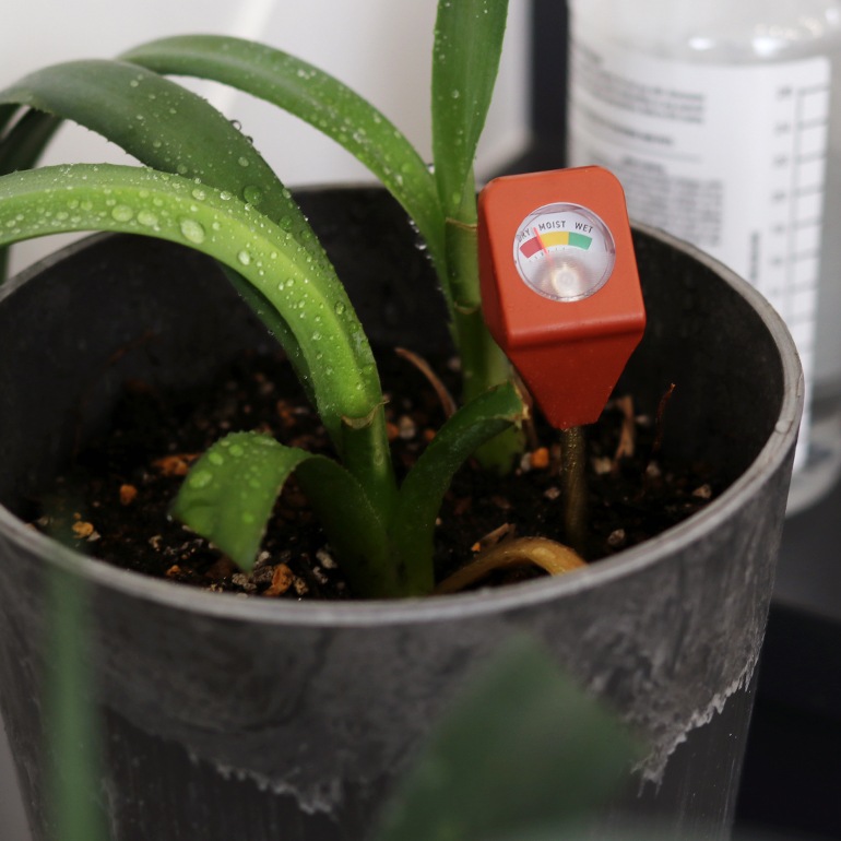 KIKKERLAND キッカーランド｜Garden Hydrometer (ガーデン用湿度計)
