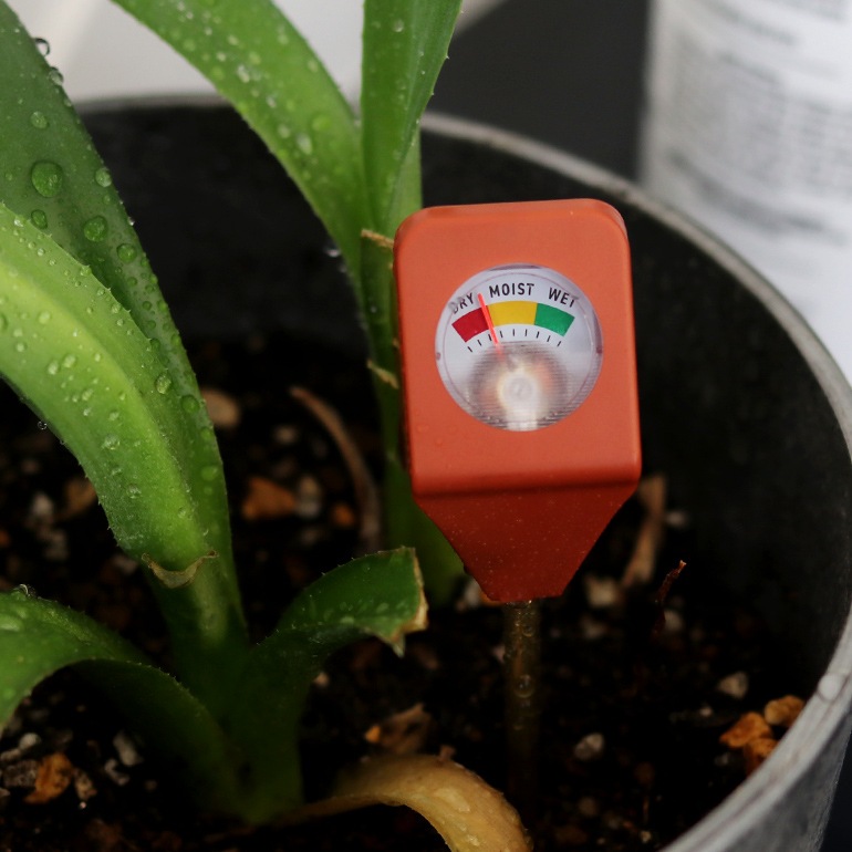 KIKKERLAND キッカーランド｜Garden Hydrometer (ガーデン用湿度計)