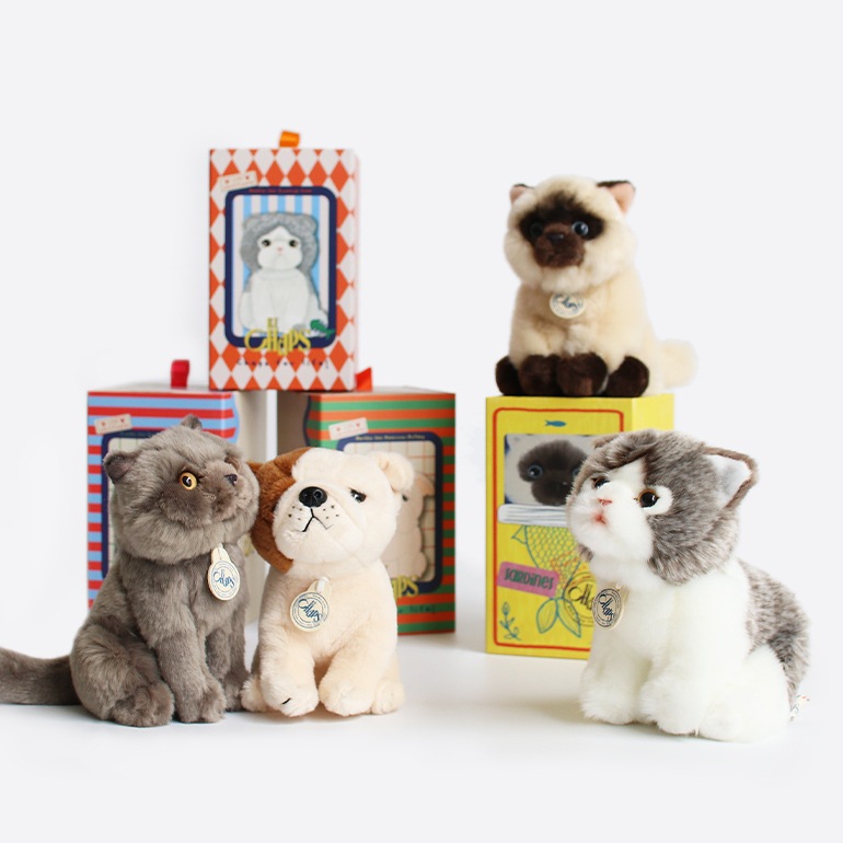 B.T. CHAPS ビーティーチャップス｜ B.T. CHAPS 17cm in Giftbox