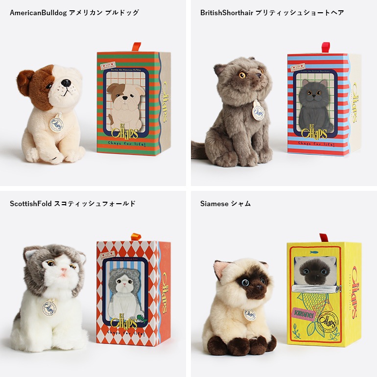 B.T. CHAPS ビーティーチャップス｜ B.T. CHAPS 17cm in Giftbox