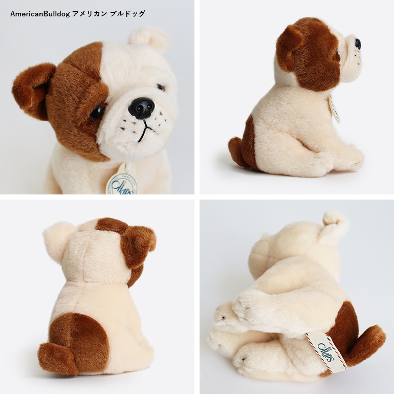 B.T. CHAPS ビーティーチャップス｜ B.T. CHAPS 17cm in Giftbox