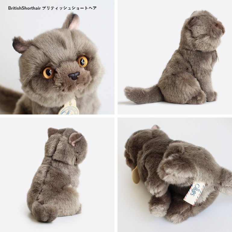 B.T. CHAPS ビーティーチャップス｜ B.T. CHAPS 17cm in Giftbox