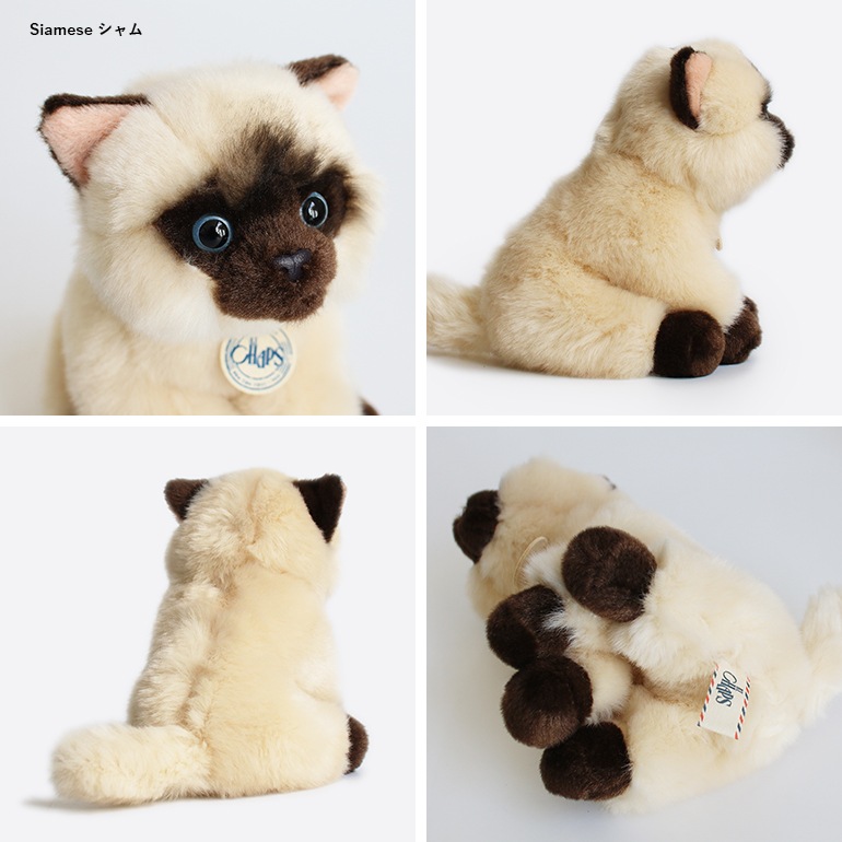 B.T. CHAPS ビーティーチャップス｜ B.T. CHAPS 17cm in Giftbox