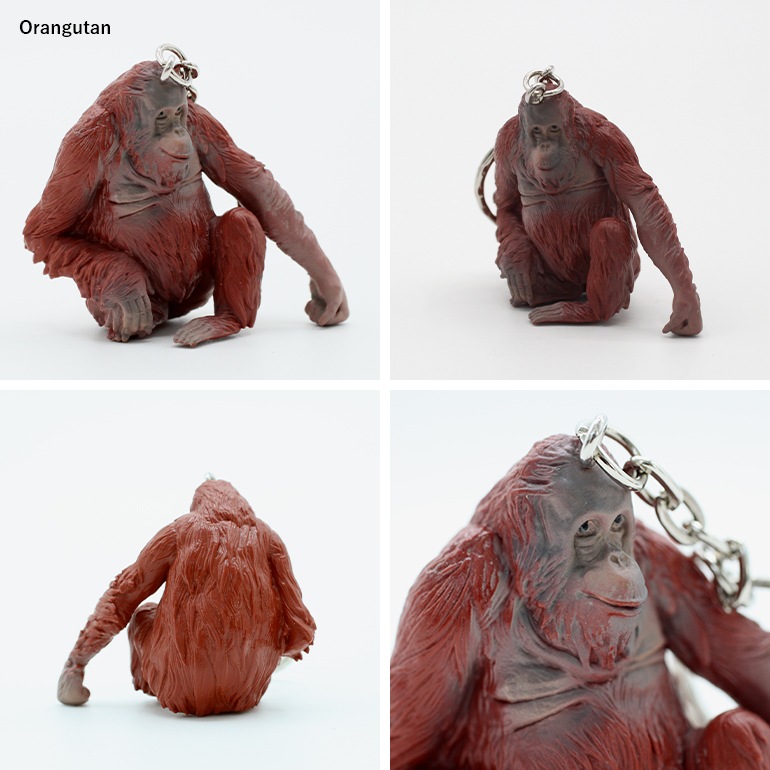 【取扱い終了/セール】DETAIL ディテール｜Animal Keyring