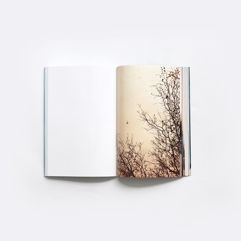 CONCORDE by Wolfgang Tillmans