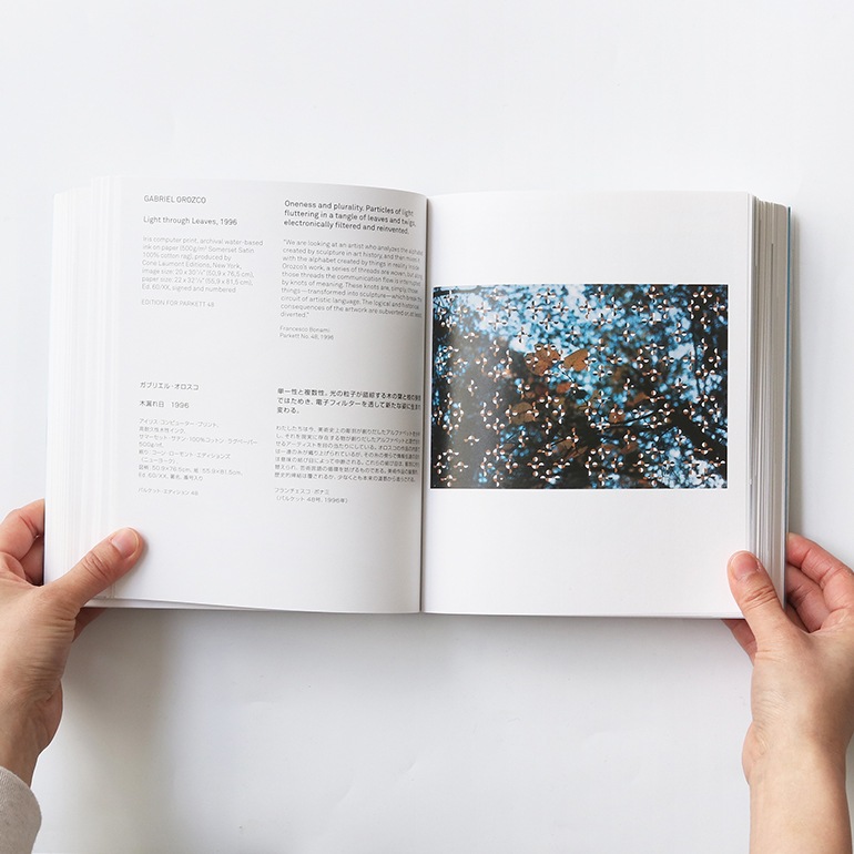 ARTISTS' EDITIONS FOR PARKETT_200 ART WORKS 25 YEARS