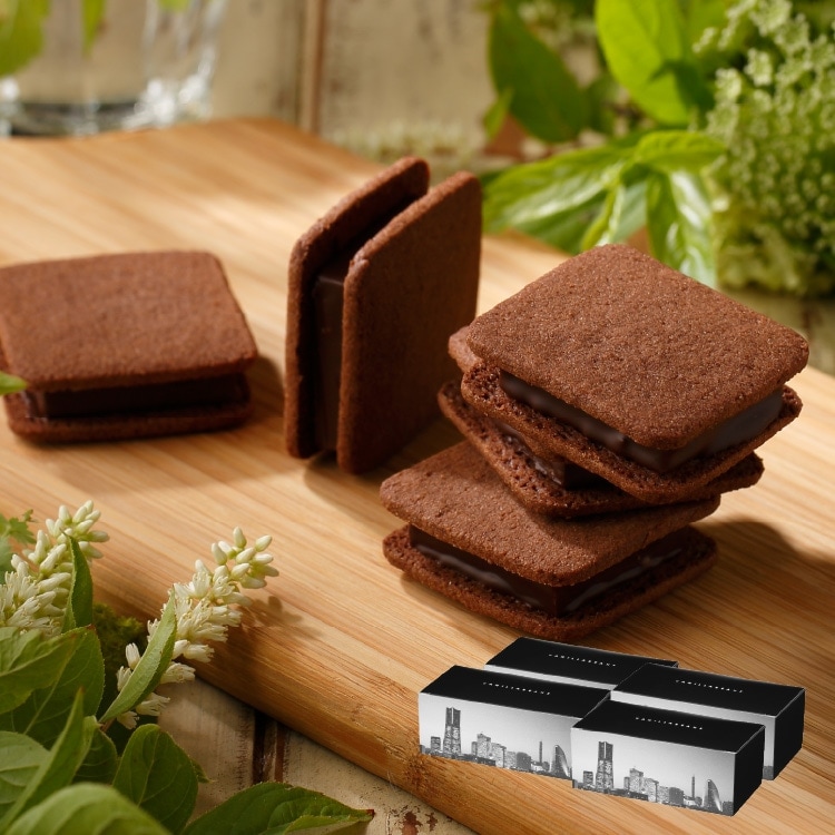 ショーコラづくし福袋 VANILLABEANS公式オンラインショップ