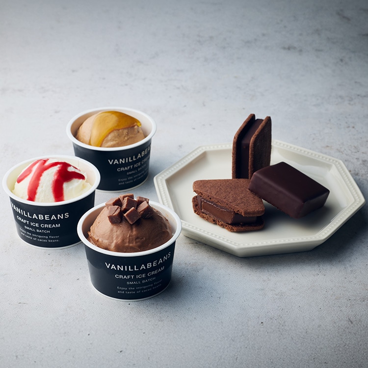 トライアルセット・サンプル choco VANILLABEANS THE ICE トライアルセット VANILLABEANS公式オンライン