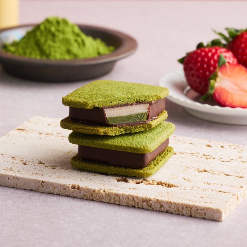 5_000000000502.jpg?1769751146